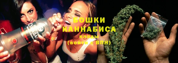 ECSTASY Богданович