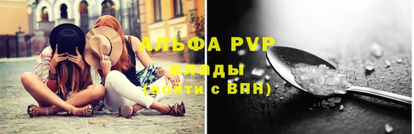 ECSTASY Богданович