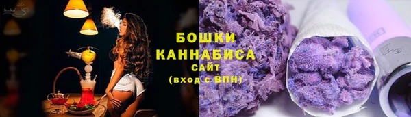 spice Богородицк