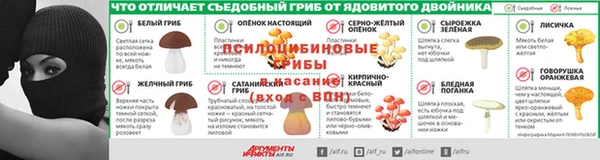 spice Богородицк
