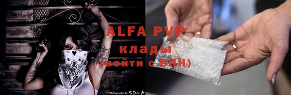 ECSTASY Богданович