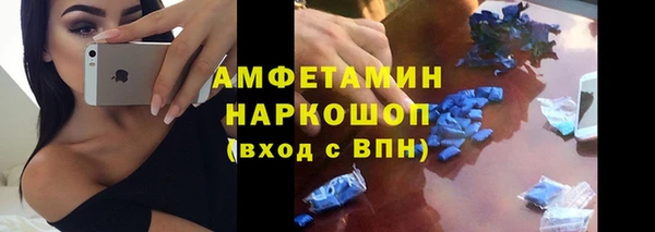 spice Богородицк