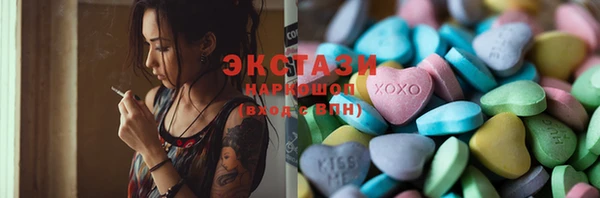 spice Богородицк