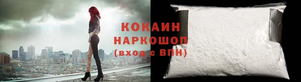 ECSTASY Богданович
