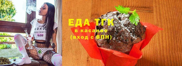 ECSTASY Богданович
