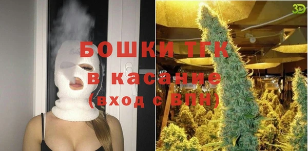 spice Богородицк