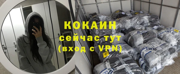spice Богородицк