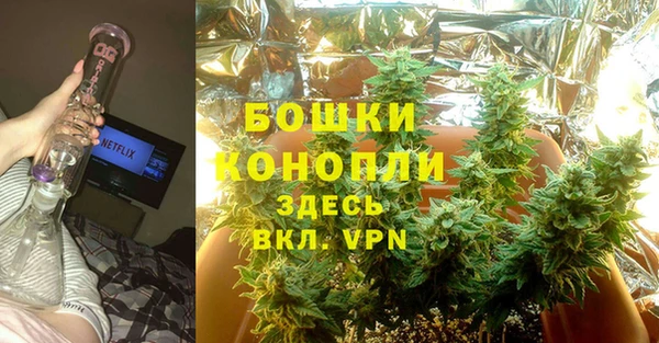 spice Богородицк