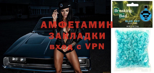 ECSTASY Богданович
