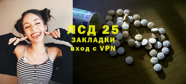 spice Богородицк