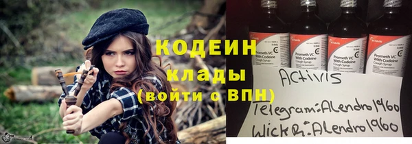 ECSTASY Богданович